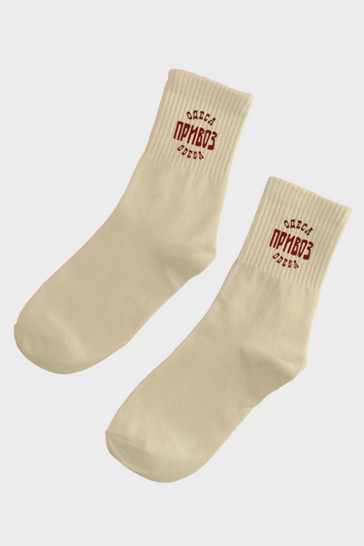 Шкарпетки Chop-Chop «Одеса-мама» 36-40 Молочний CHP17012(M) фото