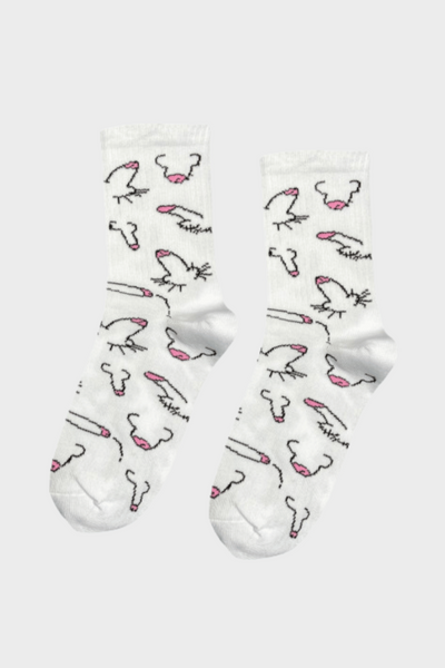Шкарпетки Sunny Focks Пісюни пісь-пісь 36-40 Білі SF17010(W) фото